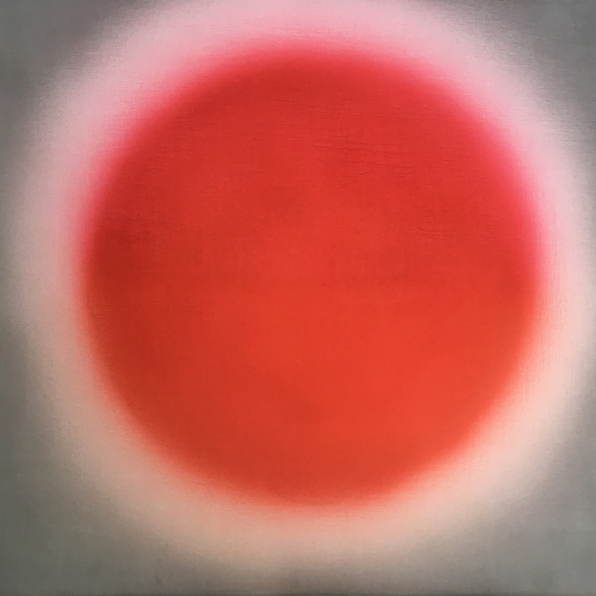 COLOUR ID 2020 – Rotes Farbfeld